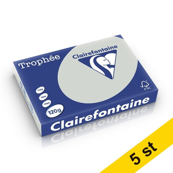 Clairefontaine ​​​​​​​​​​​​​​​​​​​​​​​​​​​​​​​​​​​​​​​​​​​​​​​​​​​​​​​​​​​​​​​120g A4 papper | ljusgrå | Clairefontaine | 250 ark | x5  250482 - 1