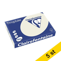 Clairefontaine ​​​​​​​​​​​​​​​​​​​​​​​​​​​​​​​​​​​​​​​​​​​​​​​​​120g A4 papper | pärlgrå | Clairefontaine | 250 ark | x5  250480