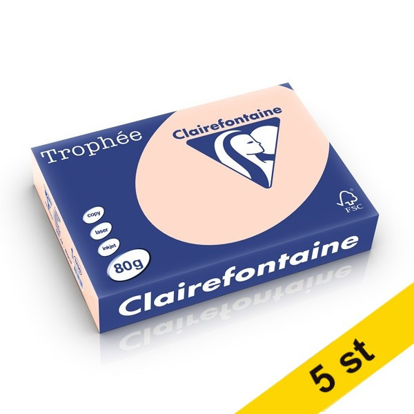 Clairefontaine ​​​​​​​​​​​​​​​​​​​​​​​​​​​​80g A4 papper | laxrosa | Clairefontaine | 500 ark | x5  250476 - 1