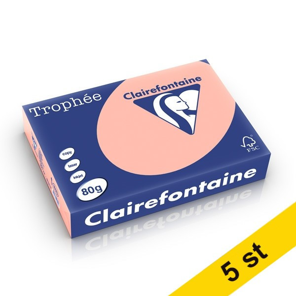 Clairefontaine ​​​​​​​​​​​​​​​​​​​​​​​​​​​​80g A4 papper | persika | Clairefontaine | 500 ark | x5  250475 - 1