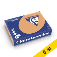 Clairefontaine ​​​​​​​​​​​​​​80g A4 papper | karamell | Clairefontaine | 500 ark | x5  250473