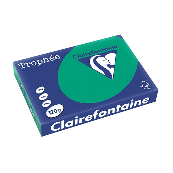 Clairefontaine ​​​​​​​120g A4 papper | furugrön | Clairefontaine | 250 ark 1224PC 250086 - 1