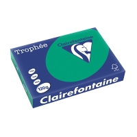 Clairefontaine ​​​​​​​120g A4 papper | furugrön | Clairefontaine | 250 ark 1224PC 250086
