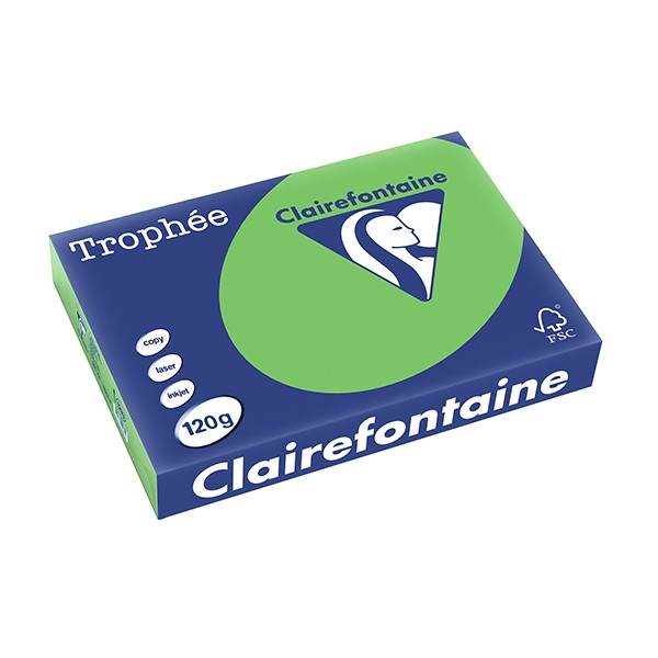 Clairefontaine ​​​​​​​120g A4 papper | gräsgrön | Clairefontaine | 250 ark 1293PC 250085 - 1