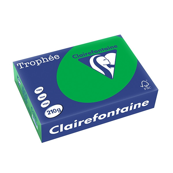 Clairefontaine ​​​​​​​210g A4 papper | biljardgrön | Clairefontaine | 250 ark 2215PC 250104 - 1