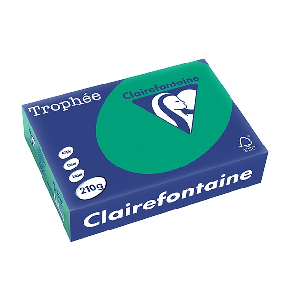 Clairefontaine ​​​​​​​210g A4 papper | furugrön | Clairefontaine | 250 ark 2213PC 250105 - 1