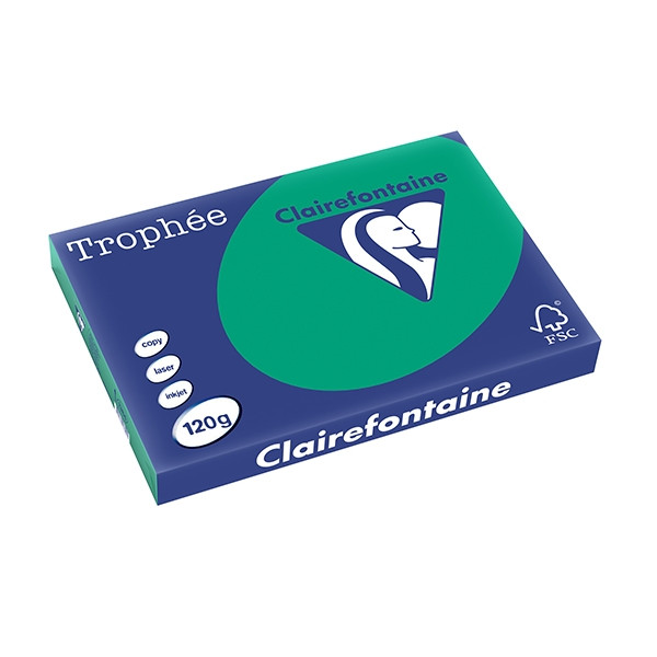 Clairefontaine 120g A3 papper | furugrön | Clairefontaine | 250 ark 1384PC 250142 - 1