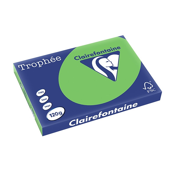 Clairefontaine 120g A3 papper | gräsgrön | Clairefontaine | 250 ark 1383PC 250141 - 1