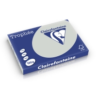 Clairefontaine 120g A3 papper | ljusgrå | Clairefontaine | 250 ark 1274PC 250213