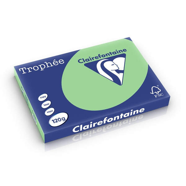 Clairefontaine 120g A3 papper | naturgrön | Clairefontaine | 250 ark 1328PC 250224 - 1