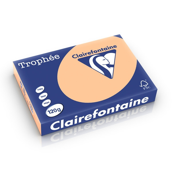 Clairefontaine 120g A4 papper | aprikos | Clairefontaine | 250 ark $$ 1275PC 250197 - 1