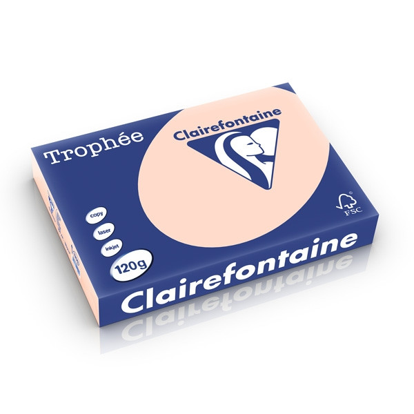 Clairefontaine 120g A4 papper | laxrosa | Clairefontaine | 250 ark $$ 1209PC 250201 - 1