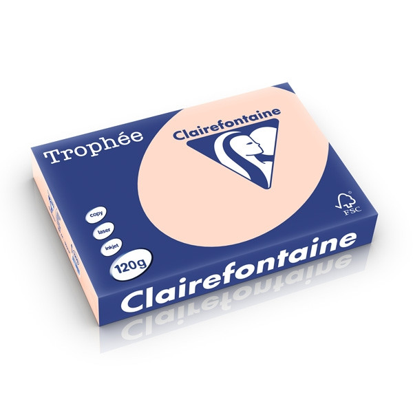 Clairefontaine 120g A4 papper | laxrosa | Clairefontaine | 250 ark 1209PC 250201 - 1