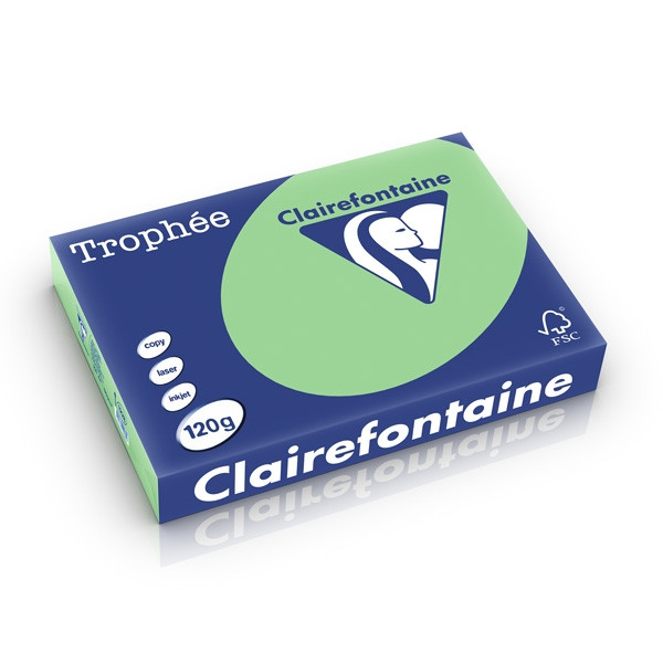 Clairefontaine 120g A4 papper | naturgrön | Clairefontaine | 250 ark 1228PC 250206 - 1