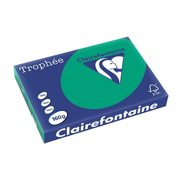 Clairefontaine 160g A3 papper | furugrön | Clairefontaine | 250 ark 1046C 250160 - 1