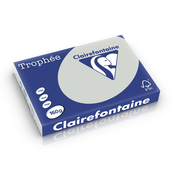 Clairefontaine 160g A3 papper | ljusgrå | Clairefontaine | 250 ark 1010PC 250268 - 1