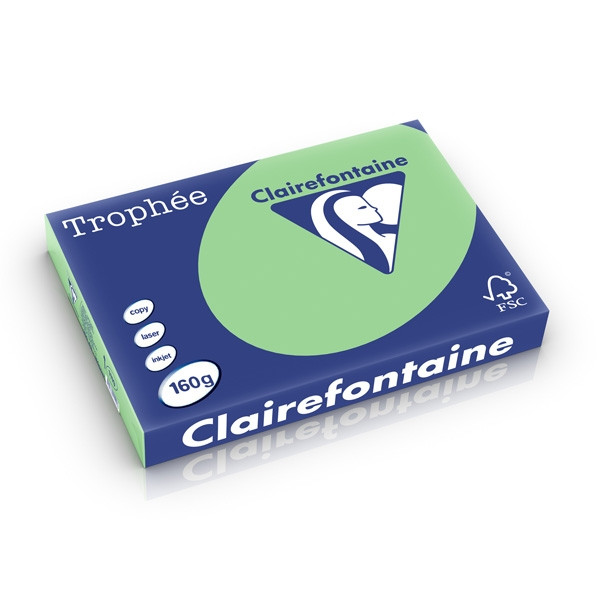 Clairefontaine 160g A3 papper | naturgrön | Clairefontaine | 250 ark 1119PC 250279 - 1