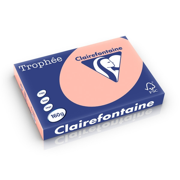 Clairefontaine 160g A3 papper | persika | Clairefontaine | 250 ark 1141PC 250271 - 1