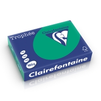 Clairefontaine 160g A4 papper | furugrön | Clairefontaine | 250 ark 1019PC 250266