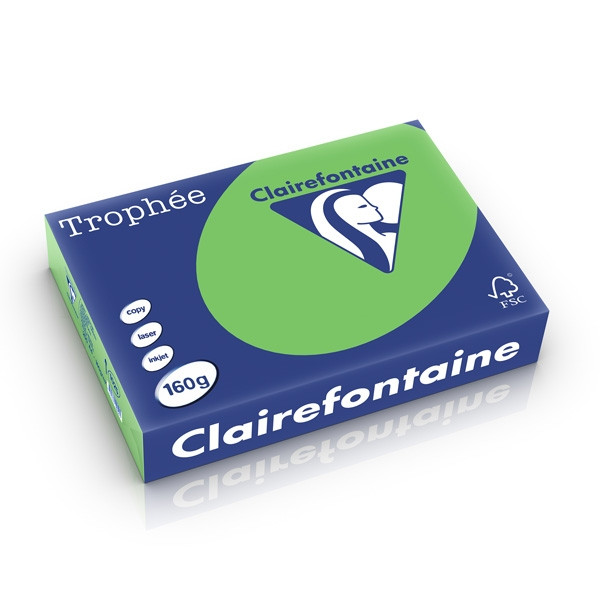 Clairefontaine 160g A4 papper | gräsgrön | Clairefontaine | 250 ark 1025PC 250264 - 1