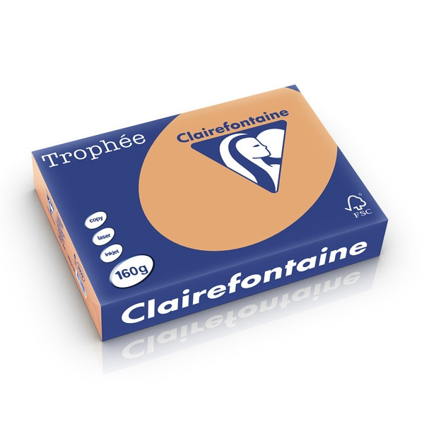 Clairefontaine 160g A4 papper | karamell | Clairefontaine | 250 ark 1102PC 250235 - 1