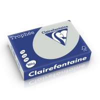 Clairefontaine 160g A4 papper | ljusgrå | Clairefontaine | 250 ark 1009PC 250232