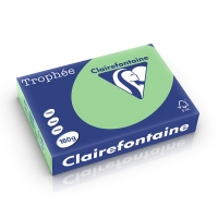 Clairefontaine 160g A4 papper | naturgrön | Clairefontaine | 250 ark 1120PC 250250