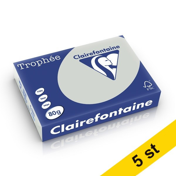 Clairefontaine 80g A4 papper | ljusgrå | Clairefontaine | 500 ark | x5  250471 - 1