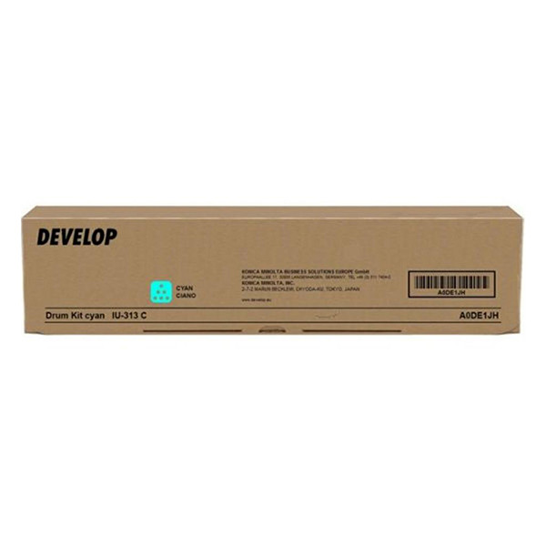 Develop TN313C (A06V4D4) cyan toner (original) A06V4D4 049306 - 1