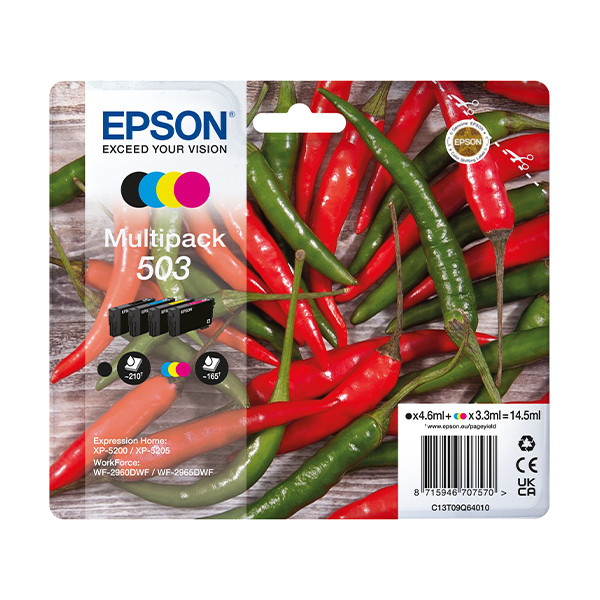 Epson 503 (T09Q6) BK/C/M/Y bläckpatron 4-pack (original) C13T09Q64010 652048 - 1