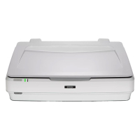 Epson Expression 13000XL A3 Scanner (14.5Kg) B11B257401 084494