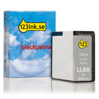 Epson T8509 ljus ljus svart bläckpatron (varumärket 123ink) C13T850900C 026791