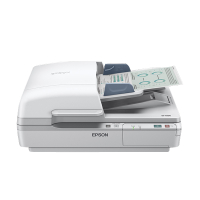 Epson WorkForce DS-6500 A4 Scanner [10Kg] B11B205231 830136