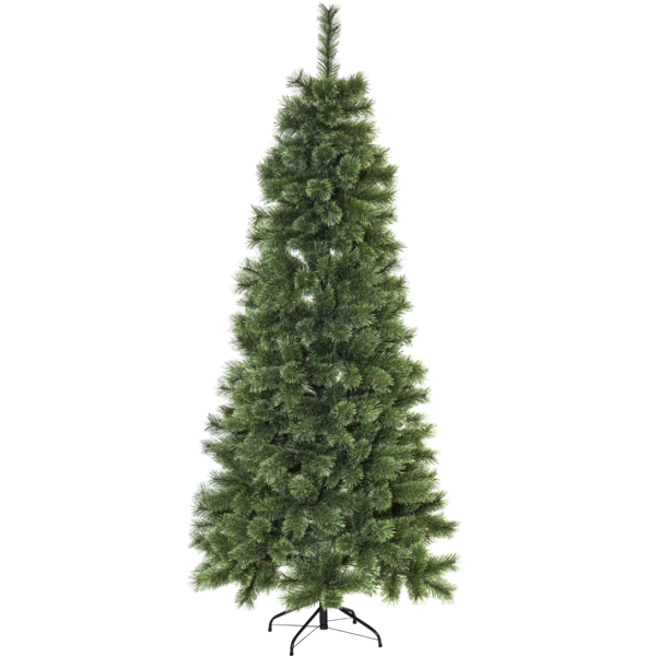 Julgran Cembrini | 210cm [Star Trading] $$ 610-30 361718 - 1