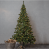 Julgran med LED | Ottawa 210cm [Star Trading] 609-01 361708 - 2