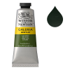 Winsor & Newton Galeria Akrylfärg 447 Olive Green | 60 ml